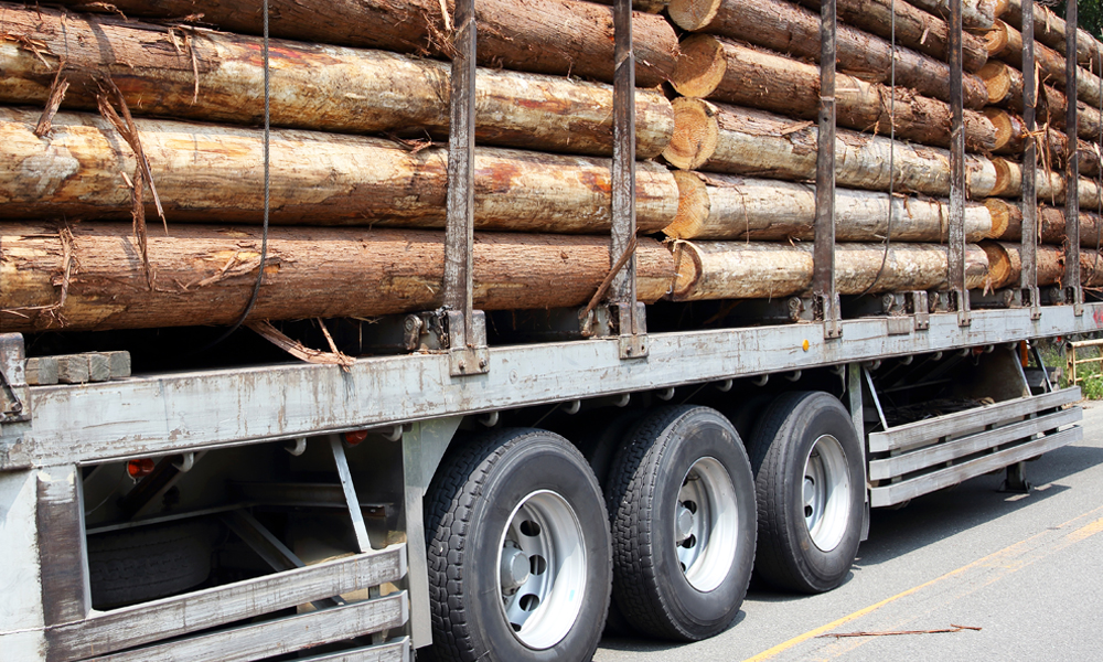 法伐採木材等の流通及び利用の促進