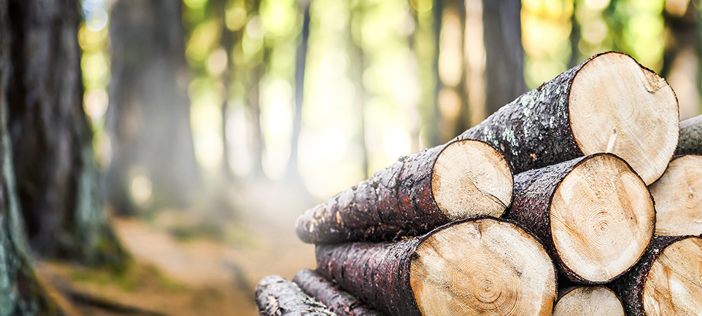 環境への取組み